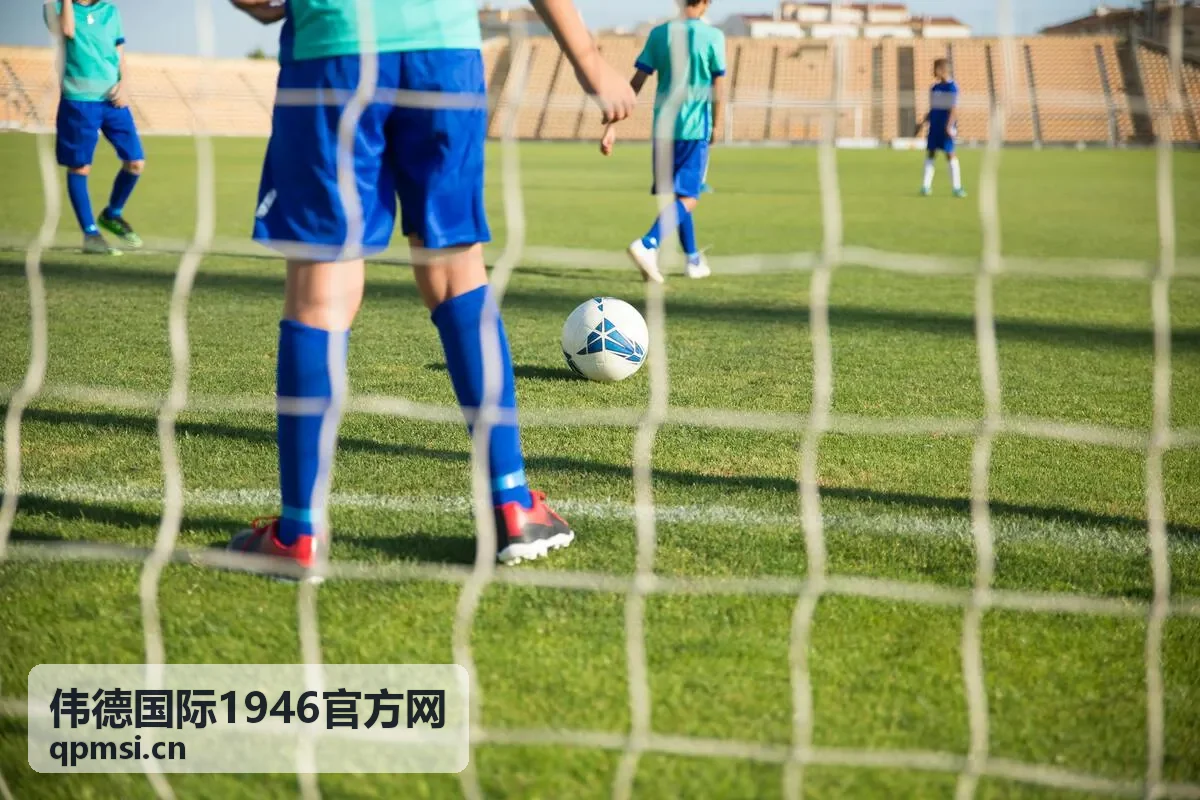 伟德国际1946官方网官方入口导航页面展示